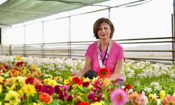 Büyükşehir ürettiği çiçeklerle şehri renklendiriyor