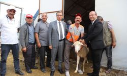 Kırsal Kalkınmada Örnek İş Birliği