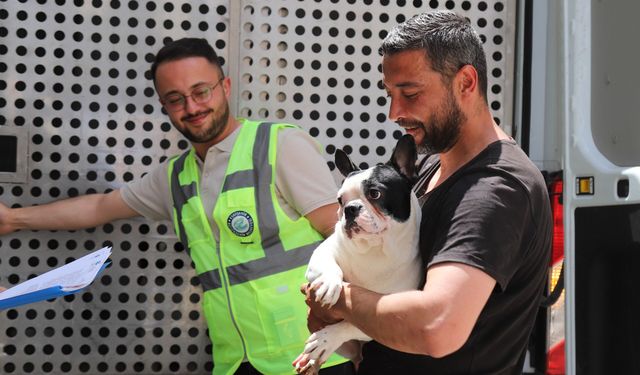 Başkan Ayşe Ünlüce Çaresiz Kalan 9 Can Dostuna Sahip Çıktı