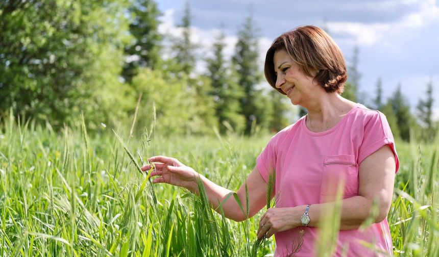 Başkan Ünlüce müjdeyi tarladan verdi